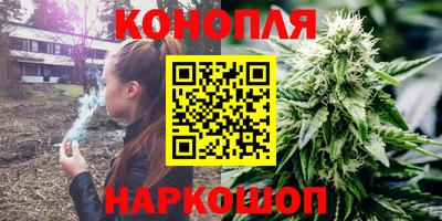 Альфа ПВП Дубна