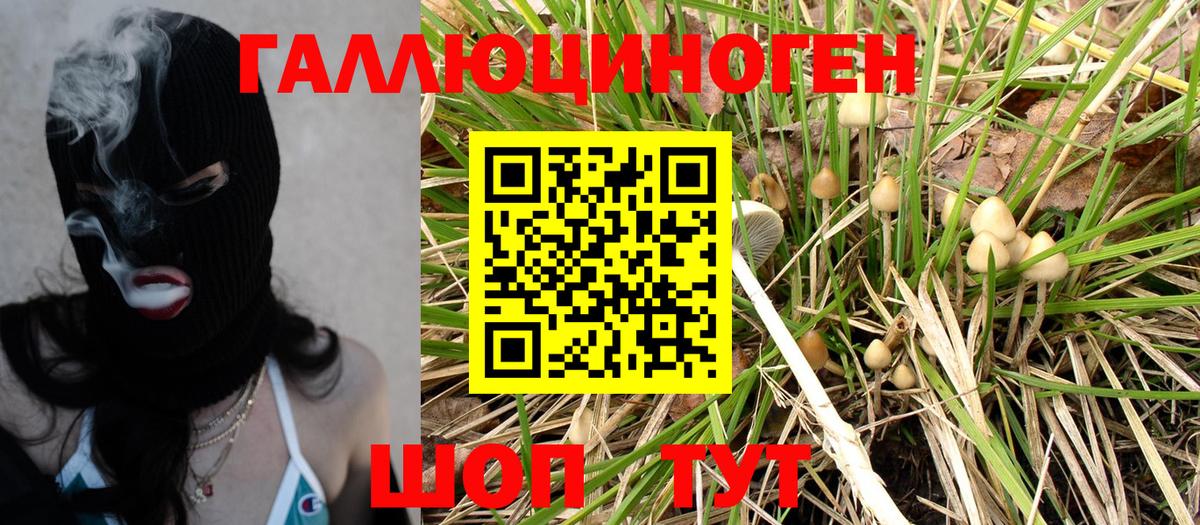 Галлюциногенные грибы Magic Shrooms  Галлюциногенные грибы GOLDEN TEACHER  Вход с VPN  Моршанск 